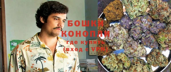 apvp Гусиноозёрск