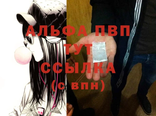 apvp Гусиноозёрск
