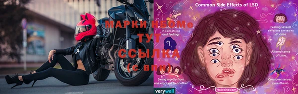 первитин Гусев